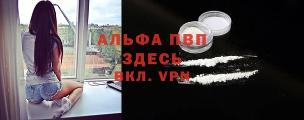 трава Осинники