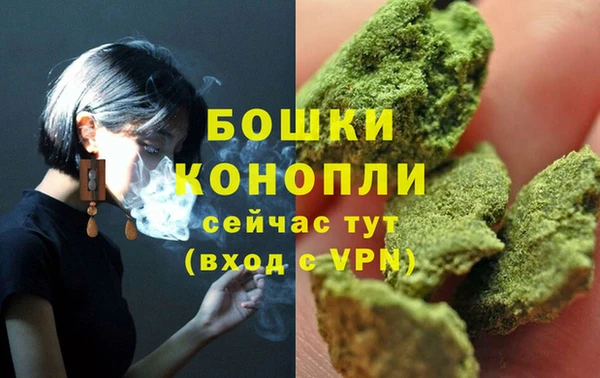 трава Осинники