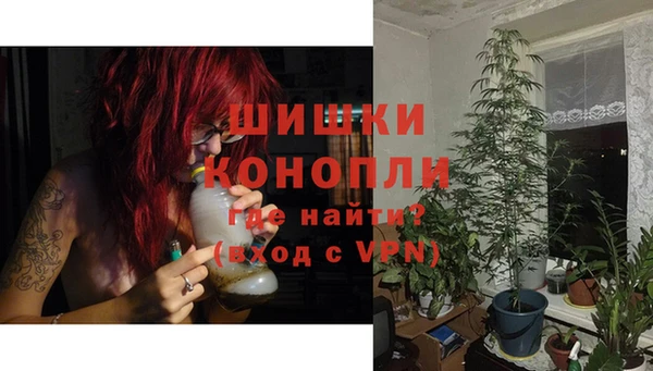 метадон Болотное