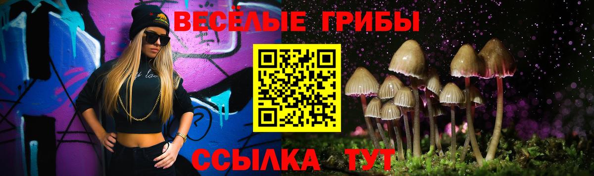 Галлюциногенные грибы GOLDEN TEACHER Кудымкар