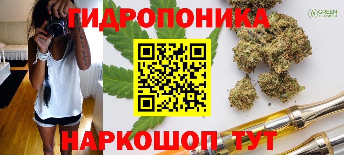 Каннабис планчик Кудымкар